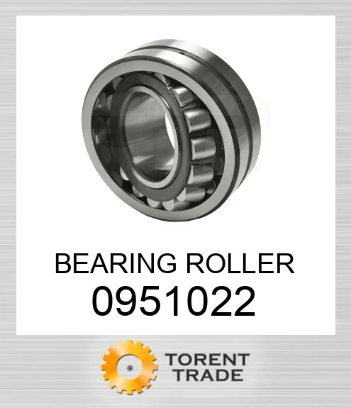 095-1022 Роликовий підшипник BLUMAQ