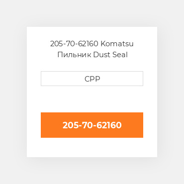 205-70-62160 Komatsu Пильник Dust Seal
