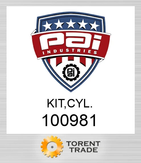 100981 Комплект, циліндр PAI INDUSTRIES