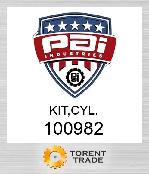 100982 Комплект, циліндр PAI INDUSTRIES