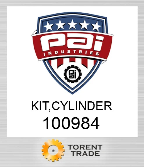 100984 Комплект, циліндр PAI INDUSTRIES