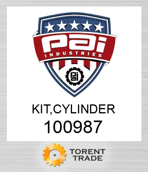 100987 Комплект, циліндр PAI INDUSTRIES