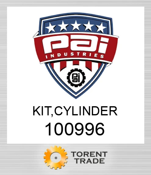 100996 Комплект, циліндр PAI INDUSTRIES