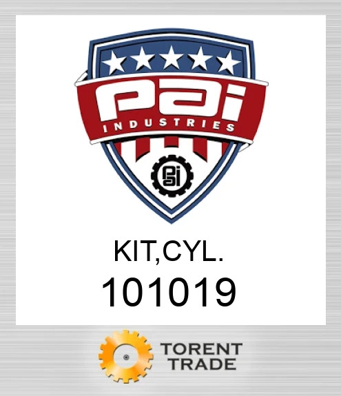 101019 Комплект, циліндр PAI INDUSTRIES