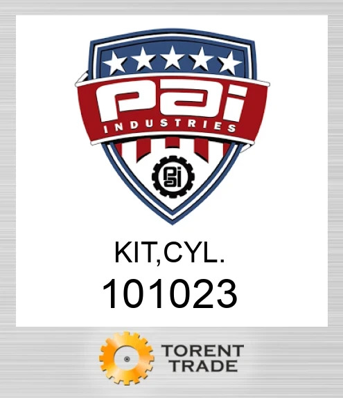 101023 Комплект, циліндр PAI INDUSTRIES