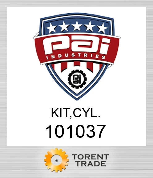 101037 Комплект, циліндр PAI INDUSTRIES