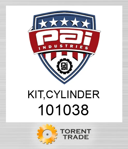 101038 Комплект, циліндр PAI INDUSTRIES