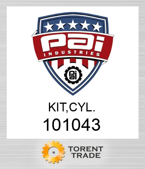 101043 Комплект, циліндр PAI INDUSTRIES