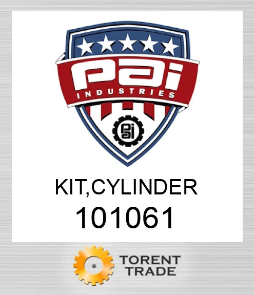 101061 Комплект, циліндр PAI INDUSTRIES