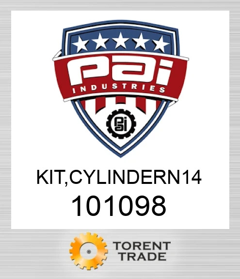 101098 Комплект, cylindern 14 PAI INDUSTRIES