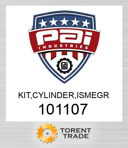 101107 Комплект, циліндр, ismegr PAI INDUSTRIES