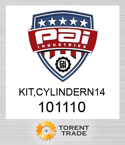 101110 Комплект, cylindern 14 PAI INDUSTRIES