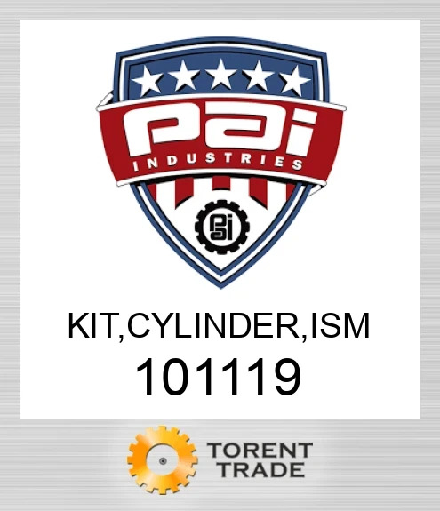 101119 Комплект, циліндр, ism PAI INDUSTRIES