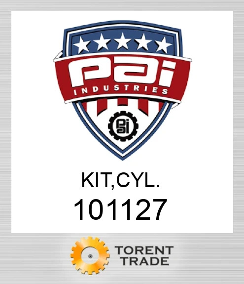 101127 Комплект, циліндр PAI INDUSTRIES