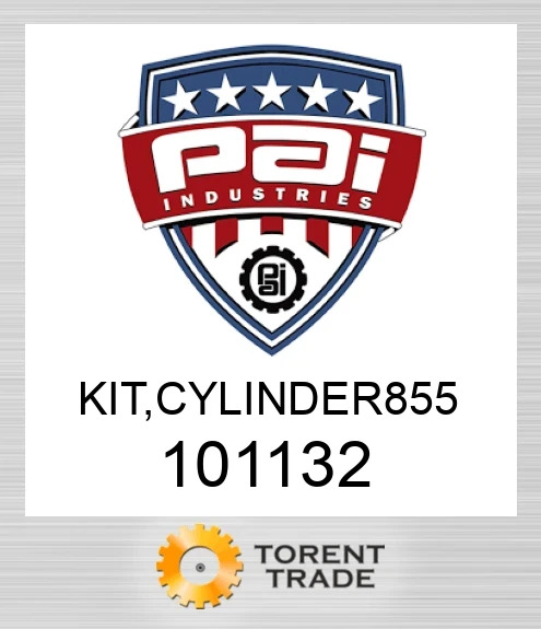 101132 Комплект, циліндр 855 PAI INDUSTRIES