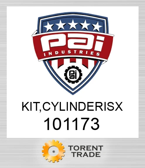 101173 Комплект, cylinderisx PAI INDUSTRIES