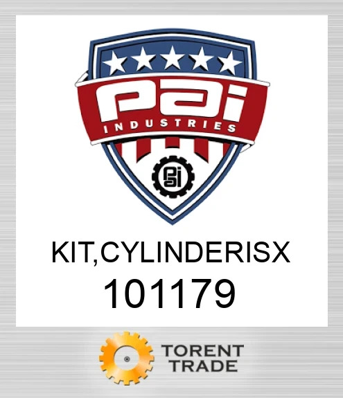 101179 Комплект, cylinderisx PAI INDUSTRIES