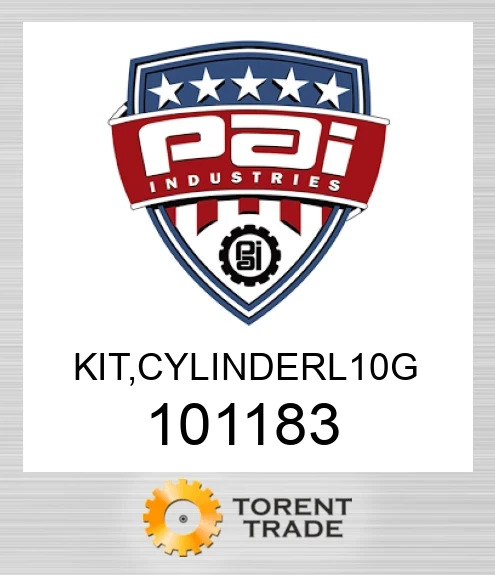 101183 Комплект, cylinderl 10 g PAI INDUSTRIES