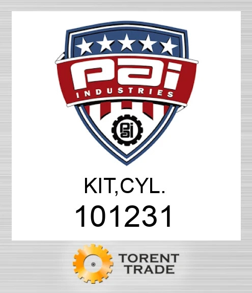 101231 Комплект, циліндр PAI INDUSTRIES