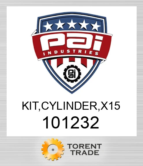 101232 Комплект, циліндр, x 15 PAI INDUSTRIES