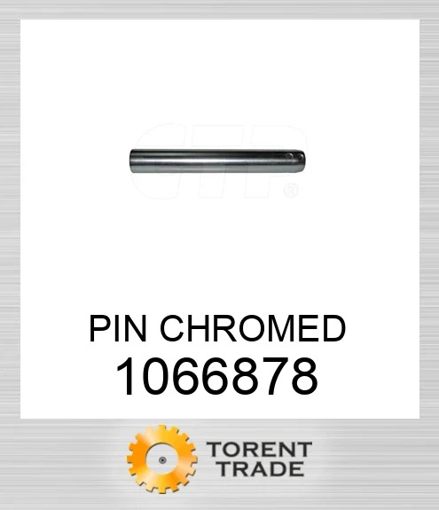 106-6878 Хромований штифт BLUMAQ