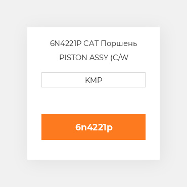6N4221P CAT Поршень PISTON ASSY (C/W PIN+CLIPS)