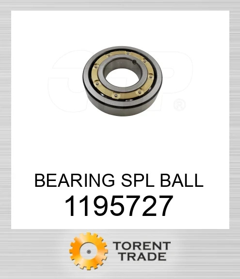 119-5727 Спеціальний кульковий підшипник BLUMAQ