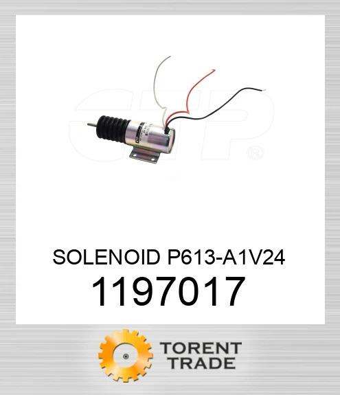 119-7017 Соленоїд P613-A1V24 BLUMAQ