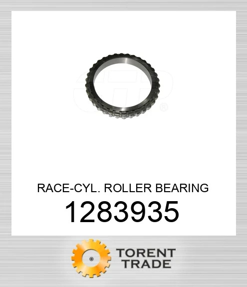 128-3935 Рейка циліндричного роликового підшипника BLUMAQ