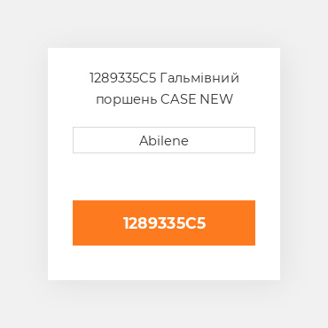 1289335C5 Гальмівний поршень CASE NEW AFTERMARKET