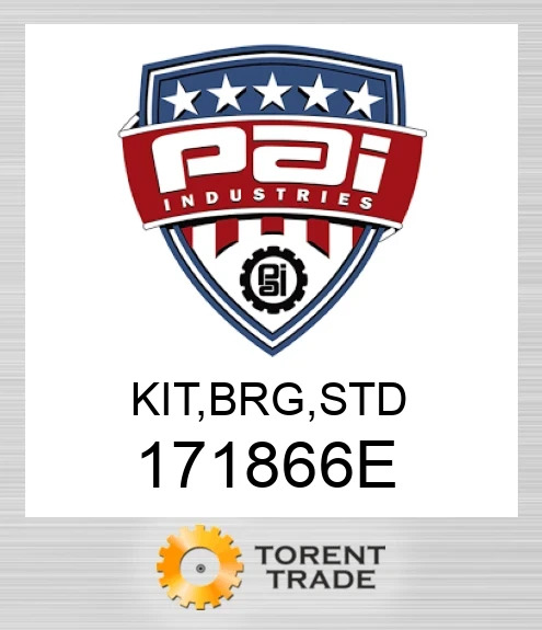171866E Комплект, підшипник, стандартний PAI INDUSTRIES