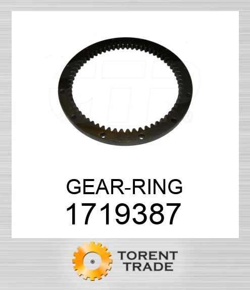 171-9387 Кільцева шестерня BLUMAQ