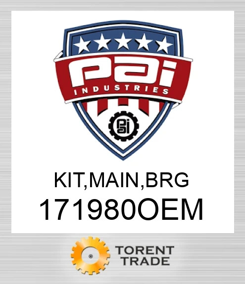 171980OEM Комплект, основний, підшипник PAI INDUSTRIES