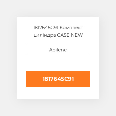 1817645C91 Комплект циліндра CASE NEW AFTERMARKET