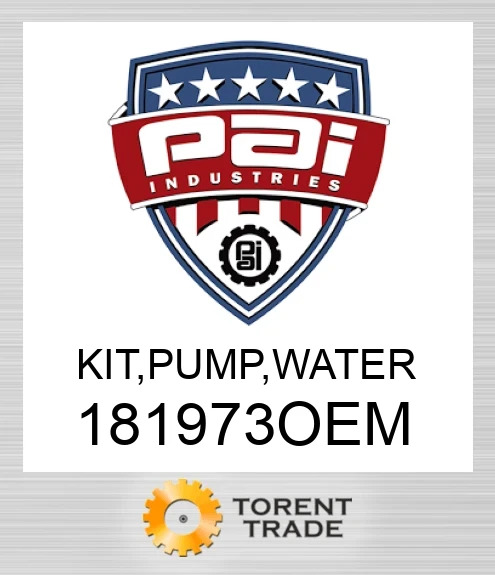 181973OEM Комплект, насос, вода PAI INDUSTRIES