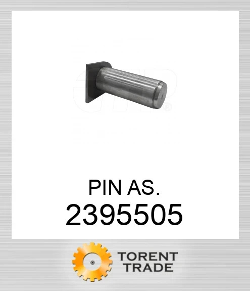 239-5505 ШТИФТ У ЗБОРІ. BLUMAQ