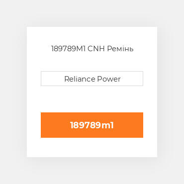 189789M1 CNH Ремінь