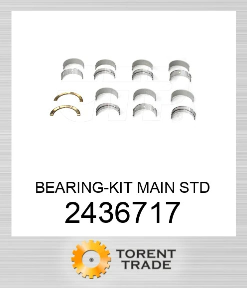 243-6717 КОМПЛЕКТ ПІДШИПНИКІВ ОСНОВНИЙ-STD BLUMAQ