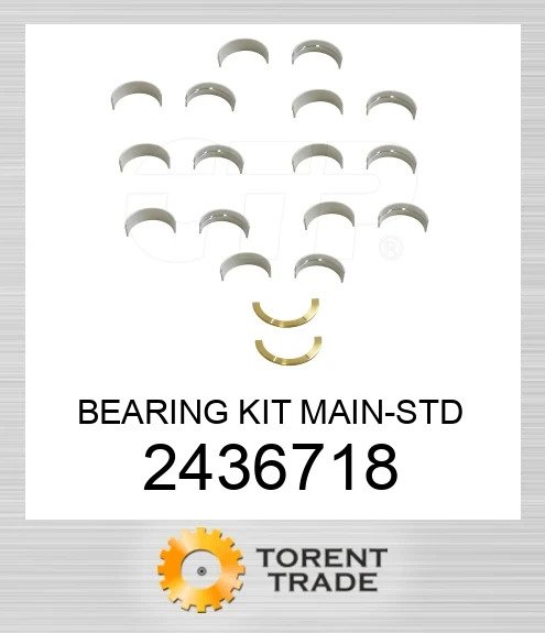 243-6718 КОМПЛЕКТ ПІДШИПНИКІВ ОСНОВНИЙ-STD BLUMAQ