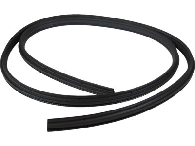 BE8Z-58405A26-A Ущільнювач дверного отвору