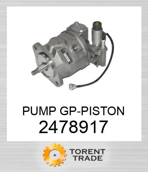 247-8917 Група насоса PS BLUMAQ