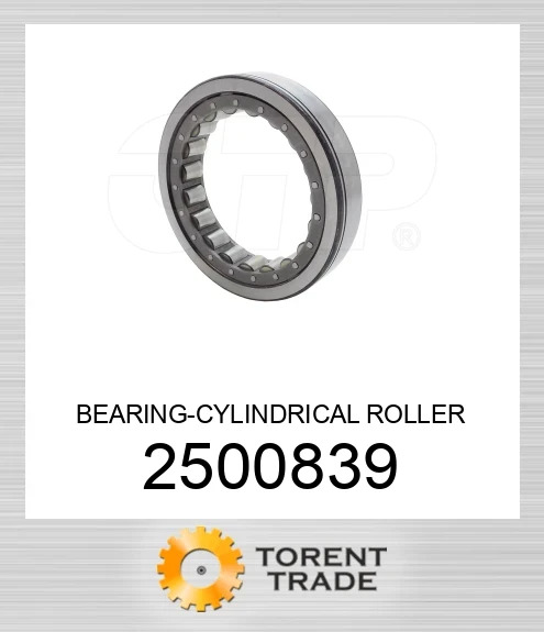 250-0839 Циліндричний роликовий підшипник BLUMAQ