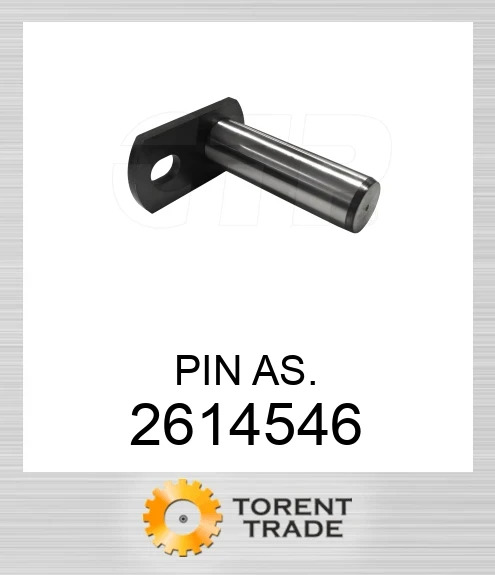 261-4546 ШТИФТ У ЗБОРІ. BLUMAQ