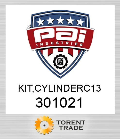 301021 Комплект, cylinderc 13 PAI INDUSTRIES