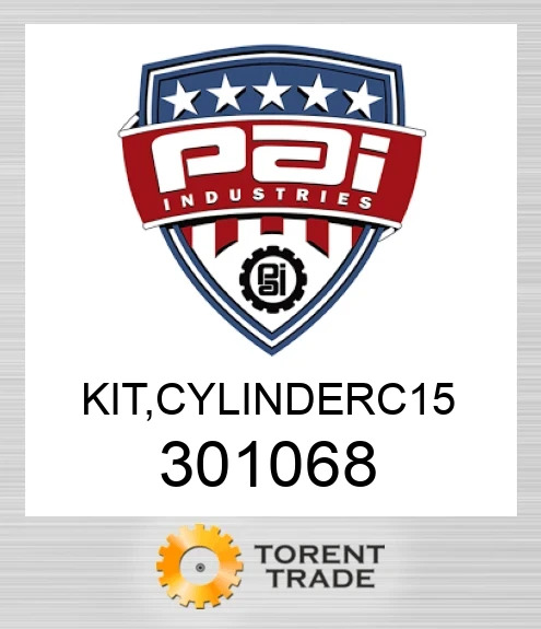 301068 Комплект, cylinderc 15 PAI INDUSTRIES