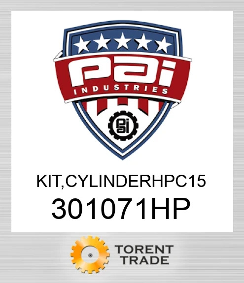301071HP Комплект, cylinderhpc 15 PAI INDUSTRIES