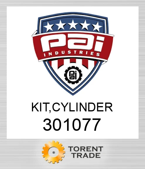 301077 Комплект, циліндр PAI INDUSTRIES