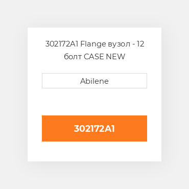 302172A1 Flange вузол - 12 болт CASE NEW AFTERMARKET