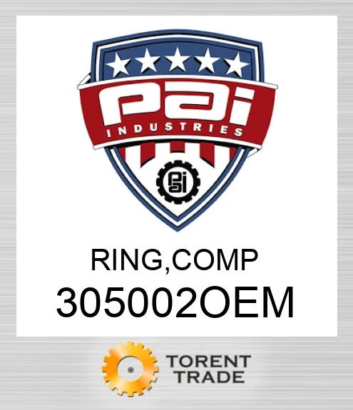 305002OEM Кільце, вузол PAI INDUSTRIES