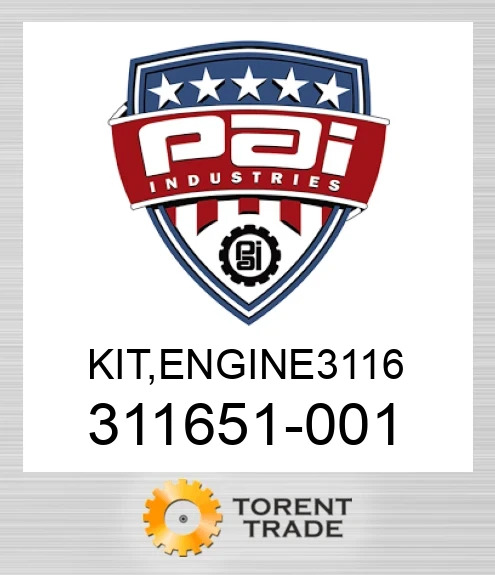 311651-001 Комплект, двигун 3116 PAI INDUSTRIES